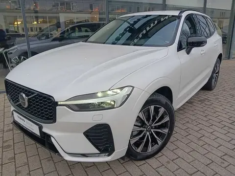 Annonce VOLVO XC60 Diesel 2023 d'occasion 