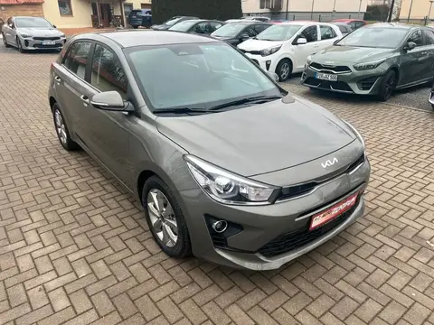 Used KIA RIO Petrol 2024 Ad 