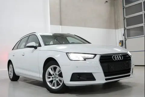 Used AUDI A4 Diesel 2019 Ad 