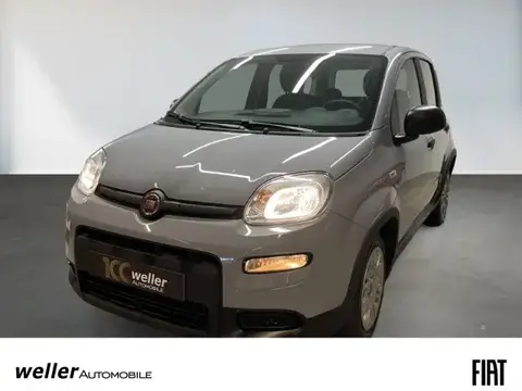 Annonce FIAT PANDA Essence 2023 d'occasion 