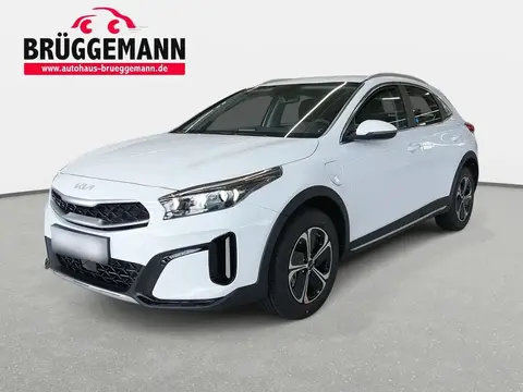 Annonce KIA XCEED Hybride 2024 d'occasion 