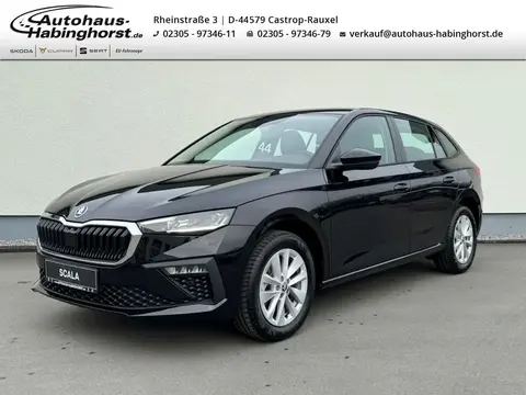 Used SKODA SCALA Petrol 2024 Ad 