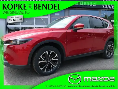 Annonce MAZDA CX-5 Essence 2023 d'occasion 