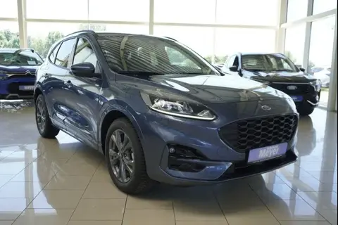 Annonce FORD KUGA Essence 2024 d'occasion 