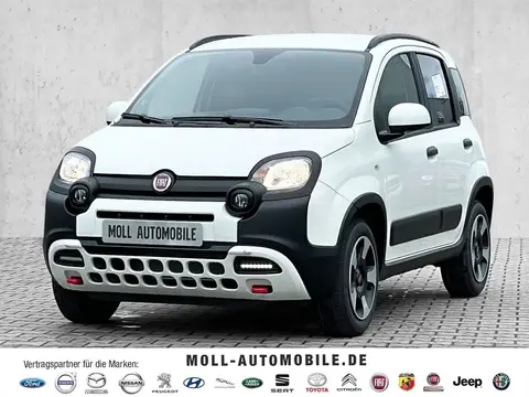 Annonce FIAT PANDA Essence 2024 d'occasion 