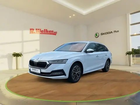 Annonce SKODA OCTAVIA Diesel 2023 d'occasion 