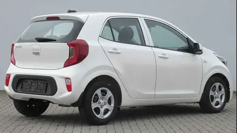 Used KIA PICANTO Petrol 2024 Ad 