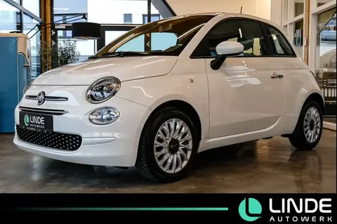 Used FIAT 500 Petrol 2021 Ad 