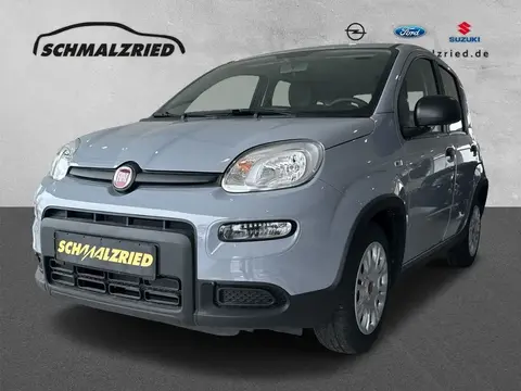 Used FIAT PANDA Hybrid 2023 Ad 