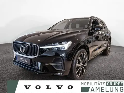 Used VOLVO XC60 Petrol 2024 Ad 