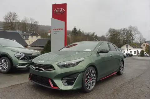 Annonce KIA PROCEED Essence 2024 d'occasion 