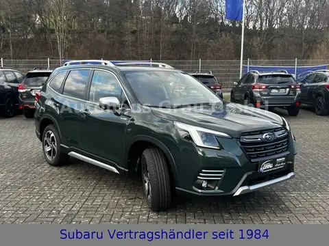 Annonce SUBARU FORESTER Essence 2024 d'occasion 