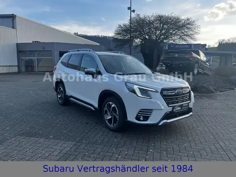 Annonce SUBARU FORESTER Essence 2024 d'occasion 