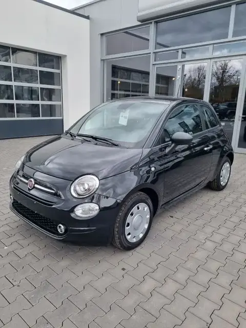 Used FIAT 500 Petrol 2023 Ad 