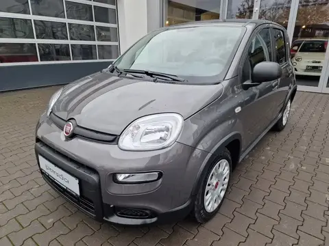 Annonce FIAT PANDA Essence 2024 d'occasion 