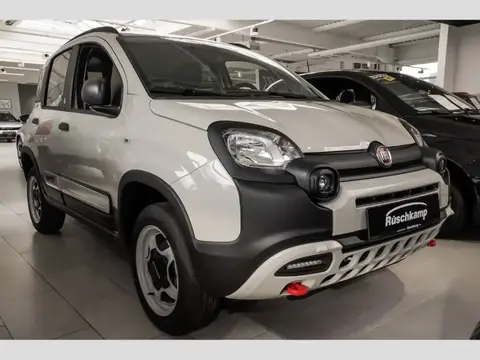 Annonce FIAT PANDA Essence 2024 d'occasion 