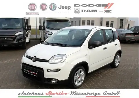 Annonce FIAT PANDA Essence 2023 d'occasion 