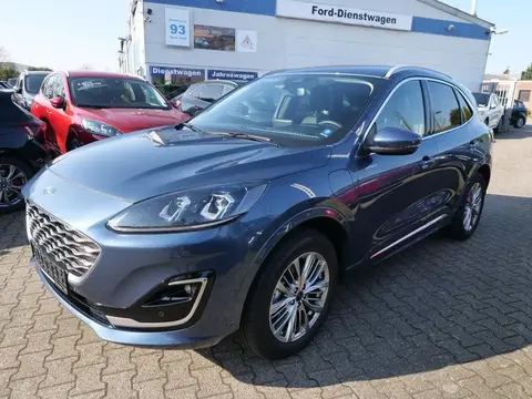 Used FORD KUGA Hybrid 2023 Ad 