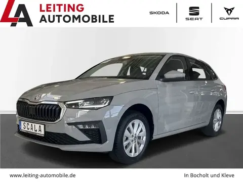 Annonce SKODA SCALA Essence 2024 d'occasion 