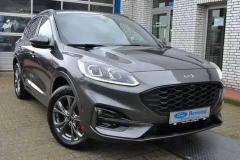 Used FORD KUGA Hybrid 2023 Ad 