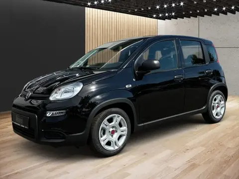 Used FIAT PANDA Petrol 2024 Ad 