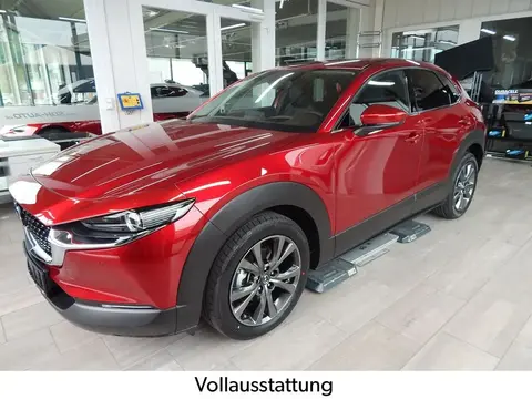 Annonce MAZDA CX-30 Essence 2024 d'occasion 