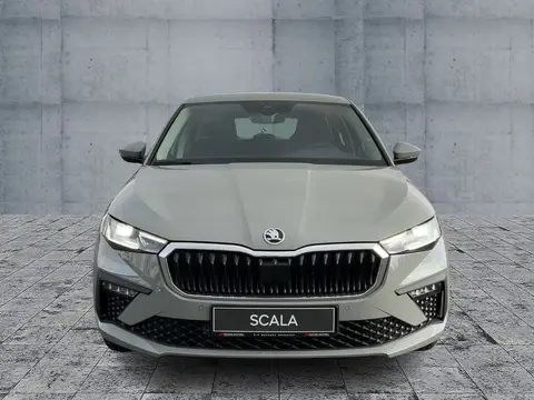 Annonce SKODA SCALA Essence 2024 d'occasion 