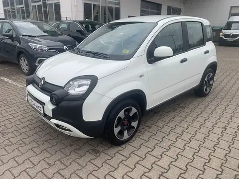 Used FIAT PANDA Petrol 2023 Ad 