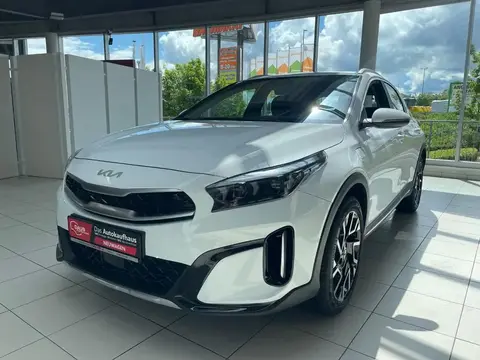 Annonce KIA XCEED Hybride 2024 d'occasion 