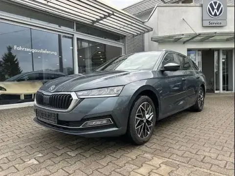 Annonce SKODA OCTAVIA Diesel 2021 d'occasion 