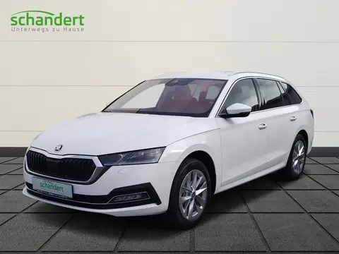 Annonce SKODA OCTAVIA Essence 2024 d'occasion 