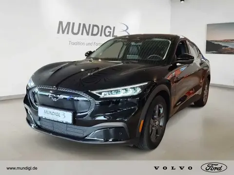 Used FORD MUSTANG Not specified 2022 Ad 