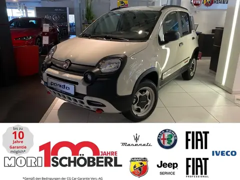 Annonce FIAT PANDA Essence 2024 d'occasion 