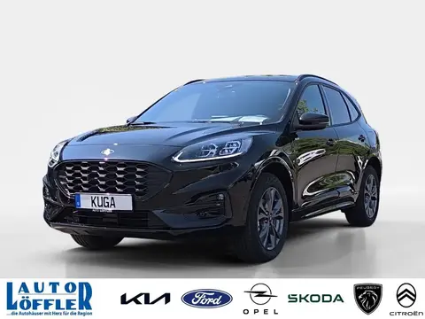 Used FORD KUGA Hybrid 2024 Ad 