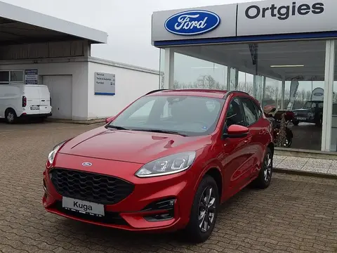 Used FORD KUGA Hybrid 2022 Ad 