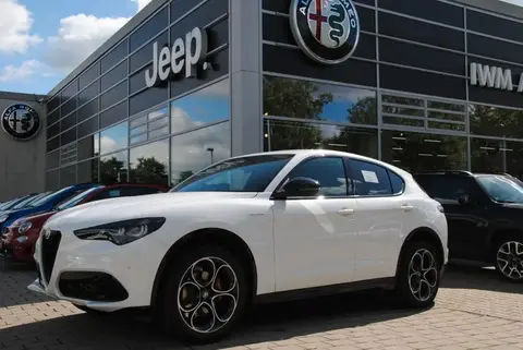 Used ALFA ROMEO STELVIO Diesel 2024 Ad 