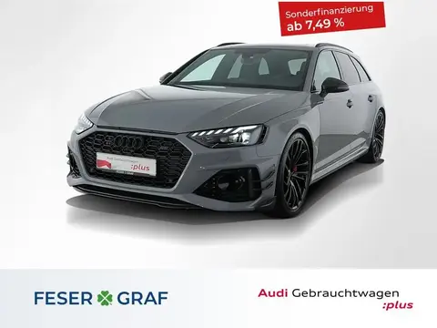 Used AUDI RS4 Petrol 2023 Ad Germany