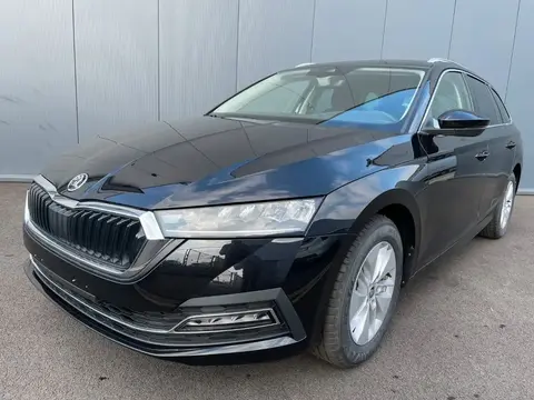 Used SKODA OCTAVIA Petrol 2023 Ad 