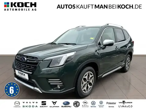 Used SUBARU FORESTER Hybrid 2024 Ad Germany