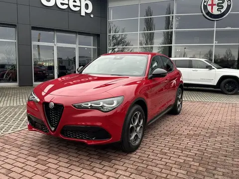 Annonce ALFA ROMEO STELVIO Essence 2024 d'occasion 