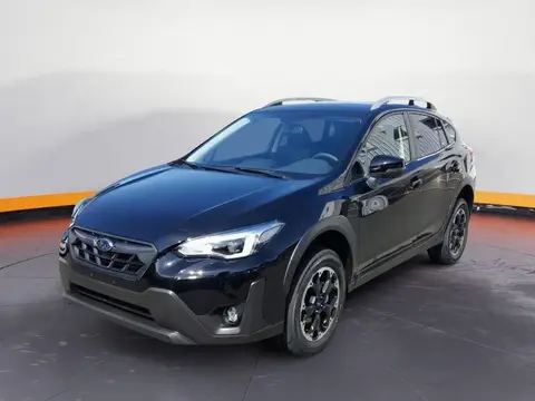 Used SUBARU XV Petrol 2023 Ad 