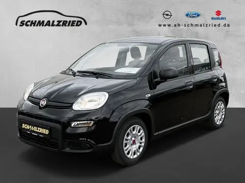 Used FIAT PANDA Hybrid 2023 Ad 