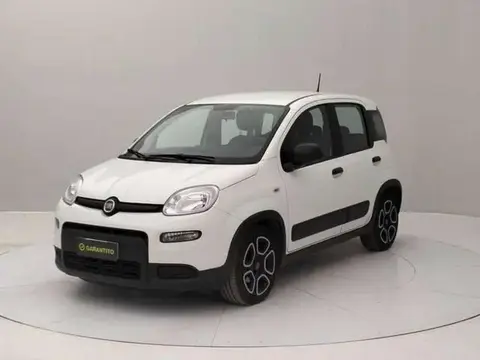 Annonce FIAT PANDA Hybride 2022 d'occasion 