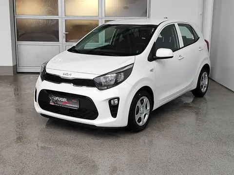 Annonce KIA PICANTO Essence 2024 d'occasion 