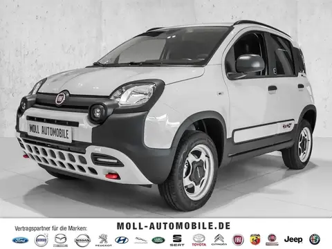 Used FIAT PANDA Petrol 2024 Ad 