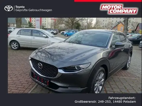 Annonce MAZDA CX-30 Essence 2023 d'occasion 