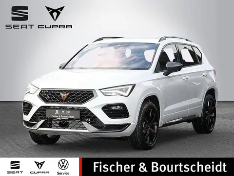 Annonce CUPRA ATECA Essence 2024 d'occasion 