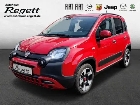 Used FIAT PANDA Petrol 2023 Ad 