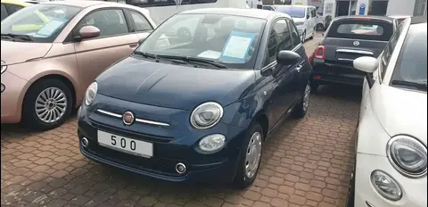 Used FIAT 500 Petrol 2023 Ad 