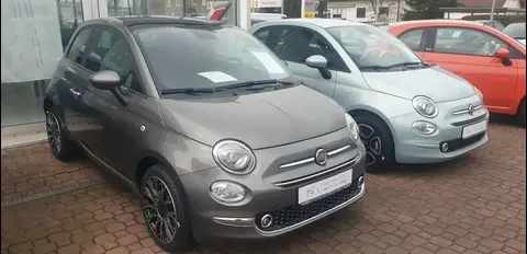 Used FIAT 500 Petrol 2023 Ad 